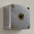 Brassvane surface mounted conduit toggle switch overall view