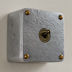 Brassvane surface mounted conduit toggle switch overall view