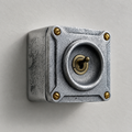 Brassvane conduit toggle light switch overall view