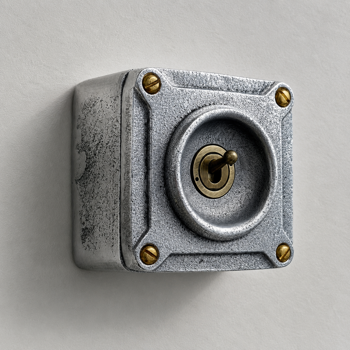Brassvane conduit toggle light switch overall view