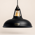 Brassvane matt black pendant light overall view