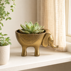 Brassvane brass elephant planter additional view 4
