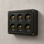 Brassvane 6 gang conduit light switch additional view 4