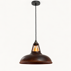 Brassvane rusted pendant light additional view 4