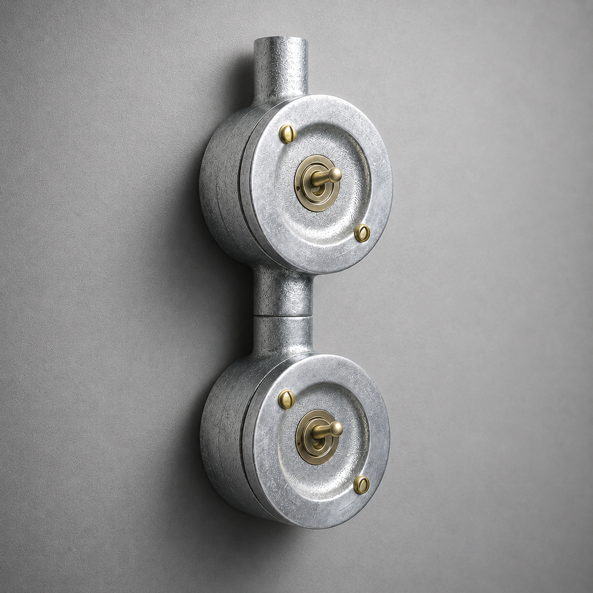 Brassvane double gang conduit light switch overall view