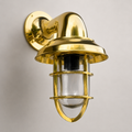 Brassvane caged brass swan neck wall light overall view