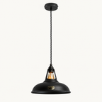 Brassvane matt black pendant light additional view 2