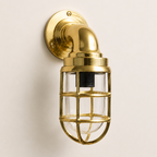 Brassvane caged brass swan neck wall light overall view