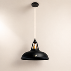 Brassvane matt black pendant light additional view 2