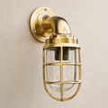 Brassvane raw brass swan neck wall light overall view