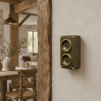 Brassvane antique brass conduit light switch additional view 2