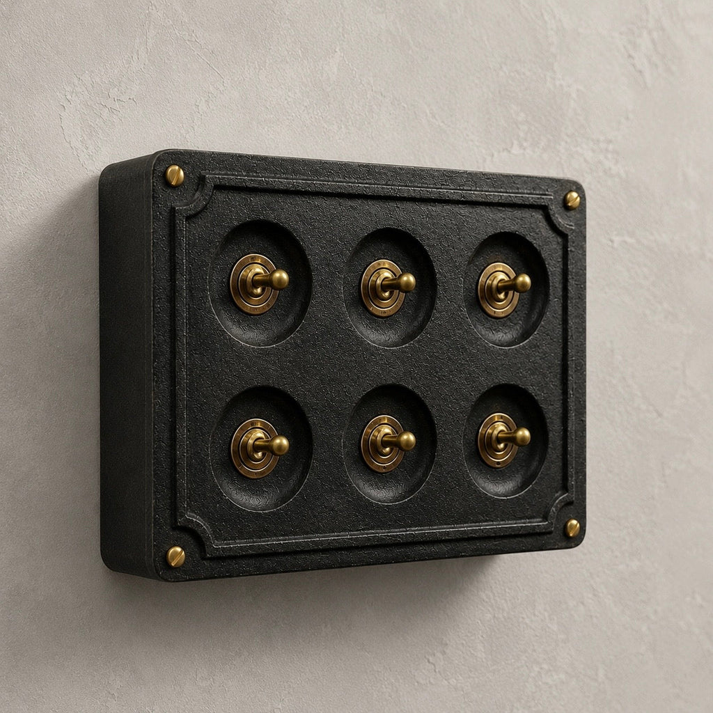 Brassvane 6 gang conduit light switch overall view