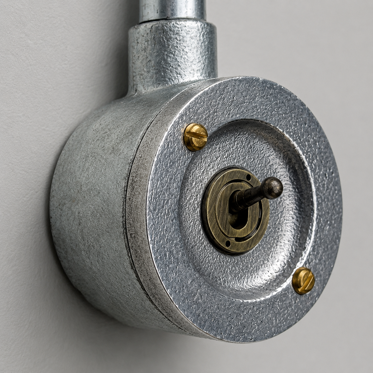 Brassvane metal conduit light switch overall view