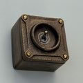 Brassvane antique brass conduit toggle switch overall view