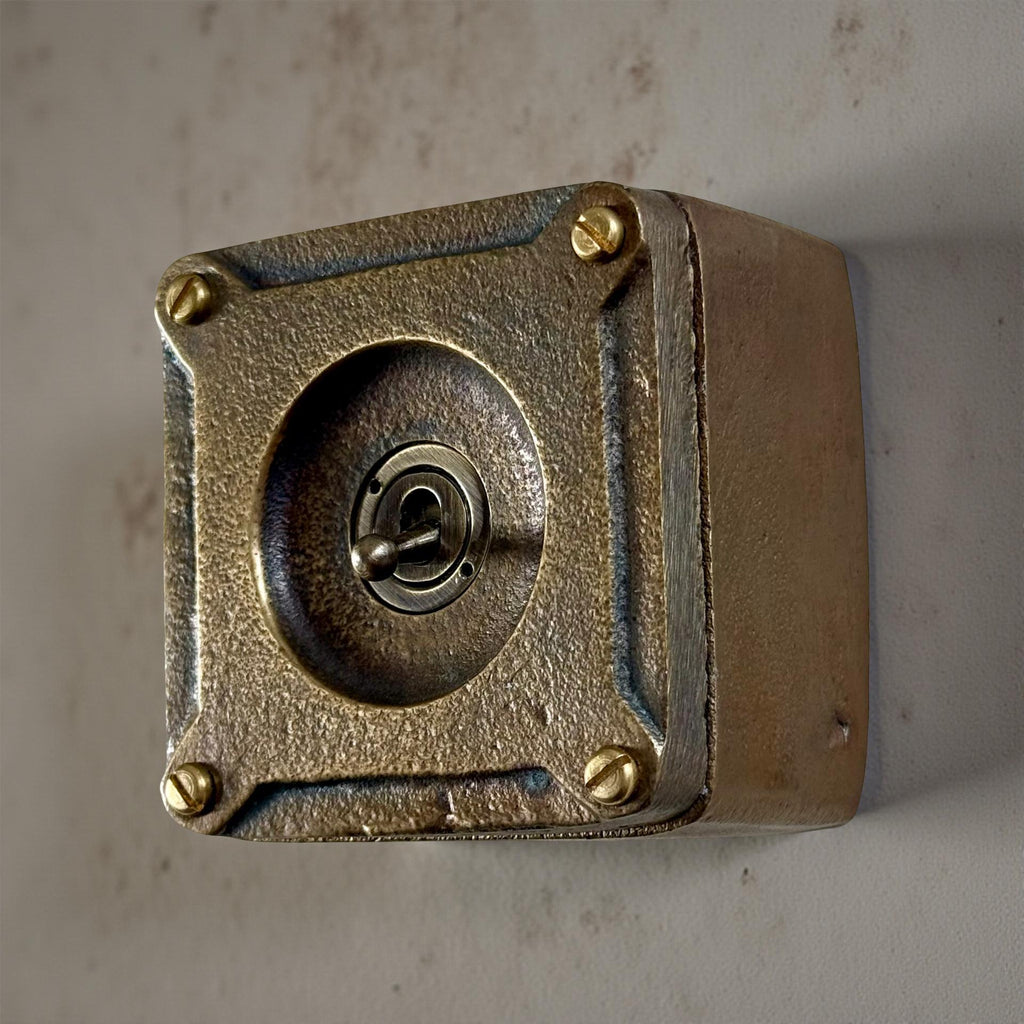 Brassvane antique brass light switch additional view 4