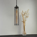 Brassvane steel cage pendant light additional view 2